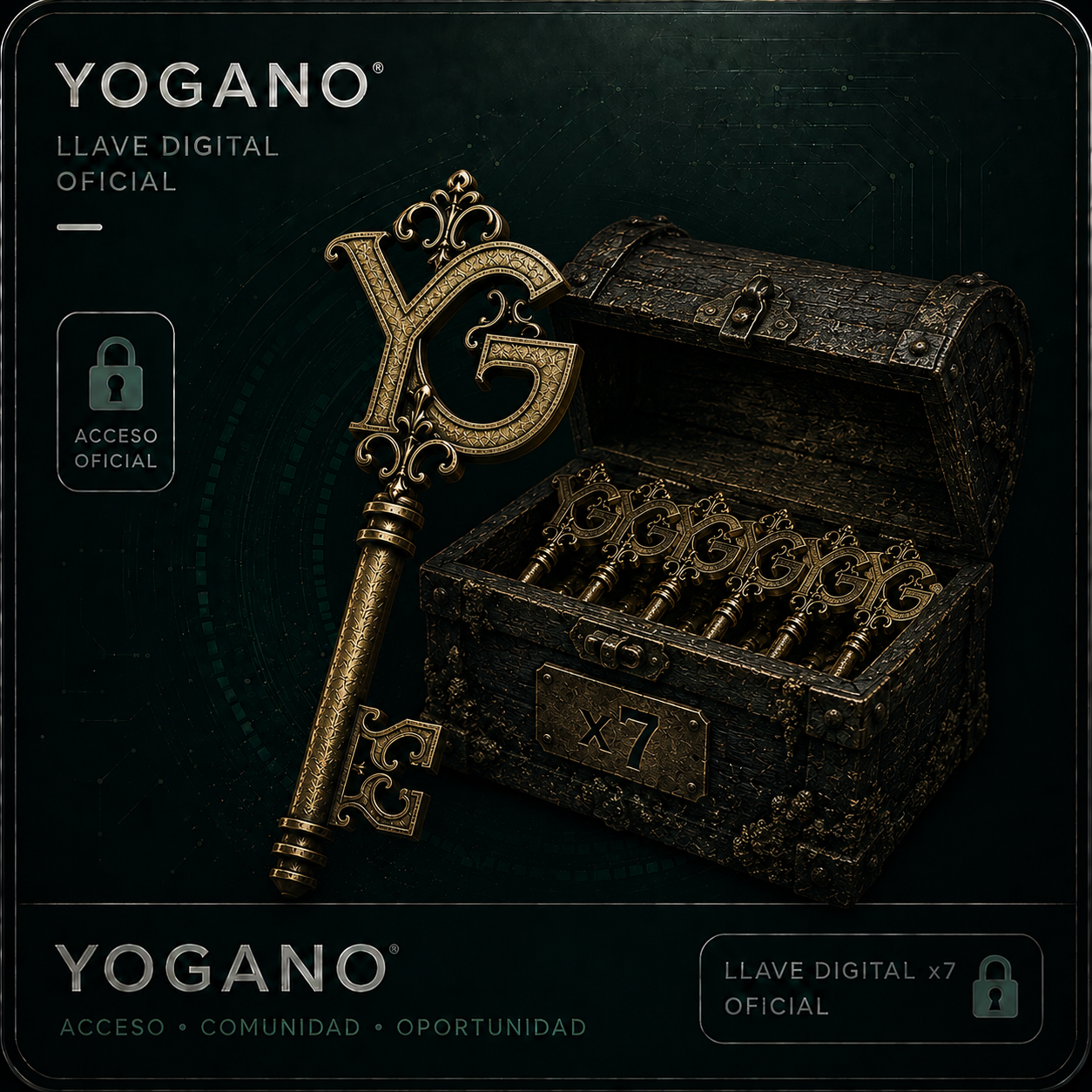 Pack 7 Llaves Digitales